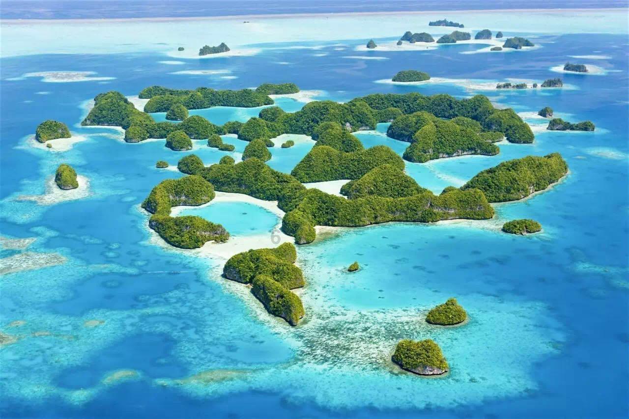 全都是凶手