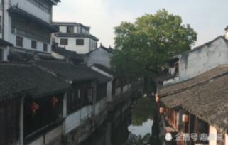 合金装备：幸存