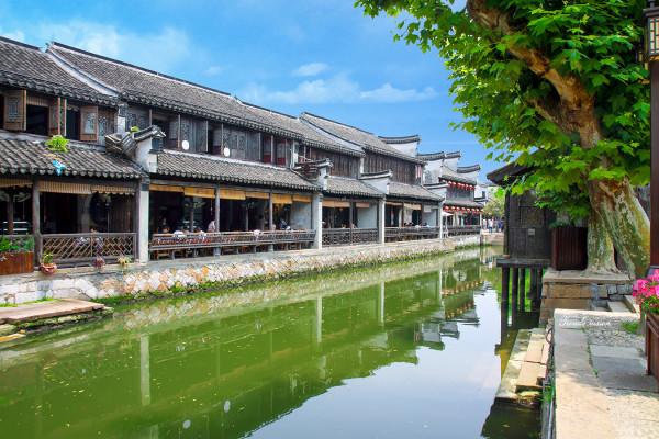 拯救精灵的土地6